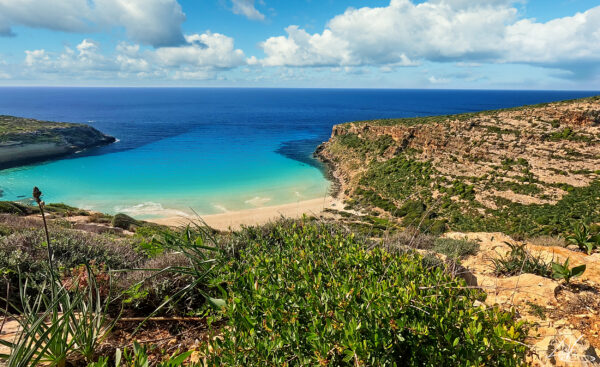 ISOLA DEI CONIGLI - immagine 5