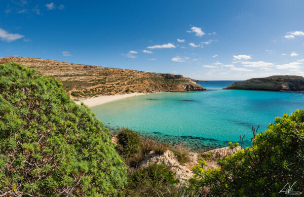 ISOLA DEI CONIGLI - immagine 20