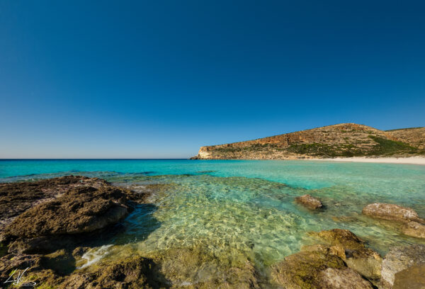 ISOLA DEI CONIGLI - immagine 13