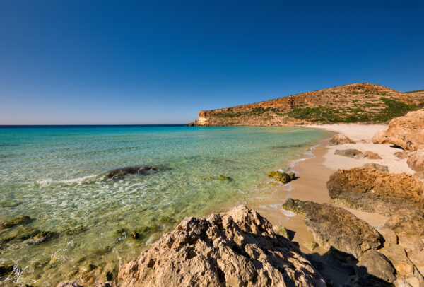 ISOLA DEI CONIGLI - immagine 12